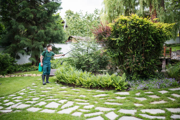 Best Arborist Consultation Services  in Carol Stream, IL